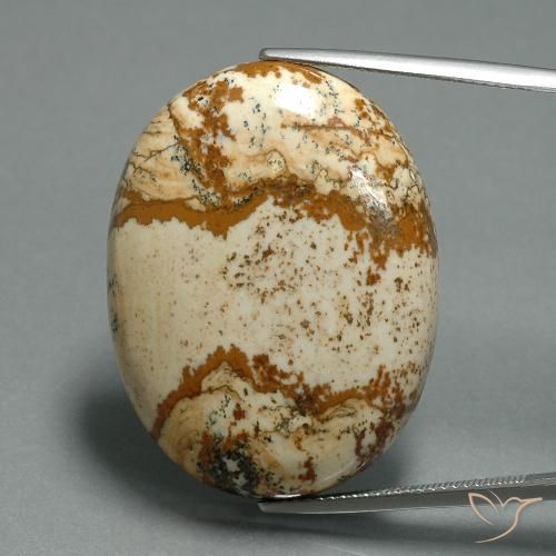 43.57ct 자연스러운 다색 벽옥, 타원형, 불투명체