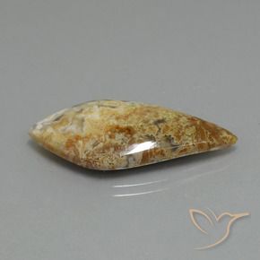 14.89캐럿 천연 다색 벽옥, 팬시한, 불투명체
