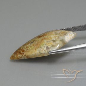 14.89캐럿 천연 다색 벽옥, 팬시한, 불투명체