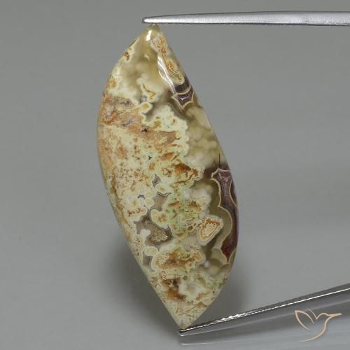 18.71ct 자연스러운 다색 벽옥, 팬시한, 불투명체
