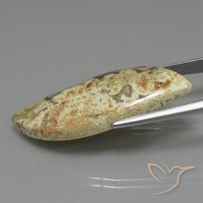18.71캐럿 천연 다색 벽옥, 팬시한, 불투명체