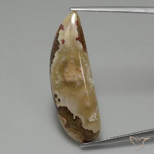 14.43ct 자연스러운 다색 벽옥, 팬시한, 불투명체