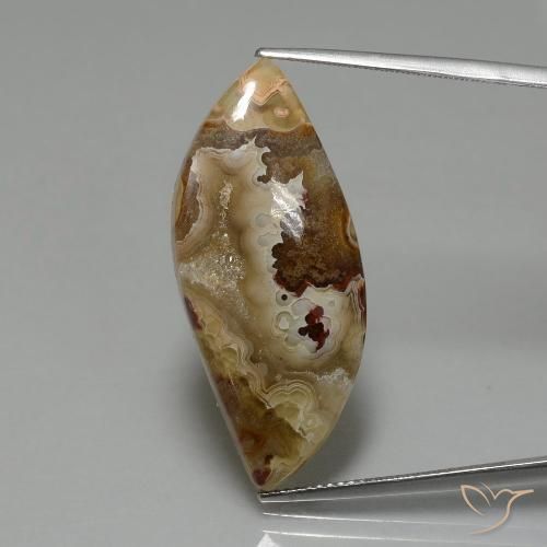 17.84ct 자연스러운 다색 벽옥, 팬시한, 불투명체