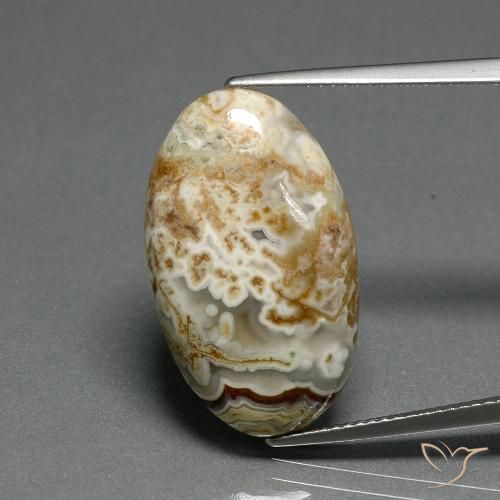 14.29ct 자연스러운 다색 벽옥, 타원형, 불투명체