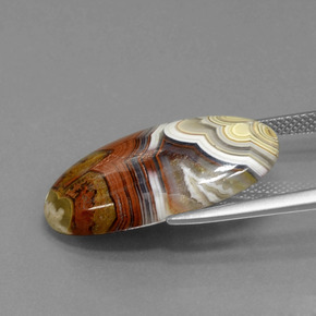 13.94캐럿 천연 다색 벽옥, 타원형 컷, 불투명체