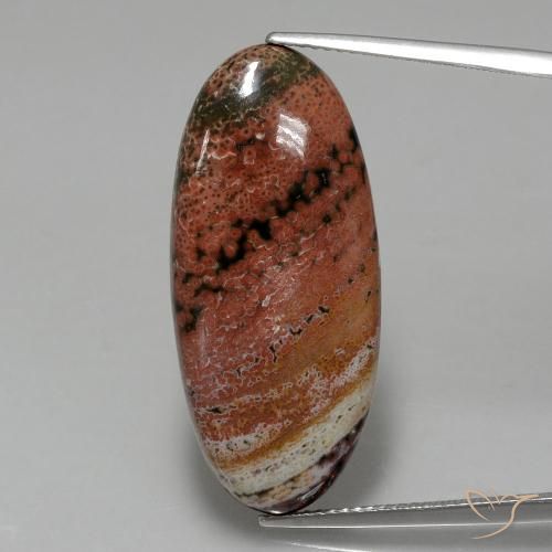 15.75ct 자연스러운 다색 벽옥, 타원형, 불투명체