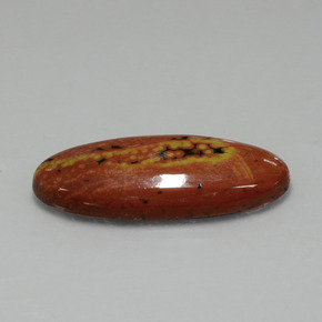 17.43캐럿 천연 멀티컬러 재스퍼, 타원형 컷, 32.4×13.4 mm, 불투명체