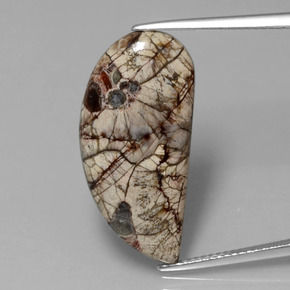 8.64캐럿 천연 다색 벽옥, 멋진 모양, 불투명체