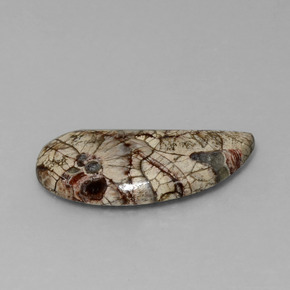 8.64캐럿 천연 다색 벽옥, 멋진 모양, 불투명체