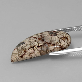 8.64캐럿 천연 다색 벽옥, 멋진 모양, 불투명체