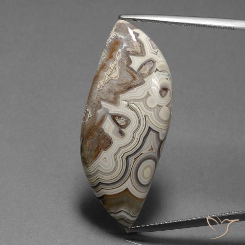 19.50ct 자연스러운 다색 벽옥, 팬시한, 불투명체