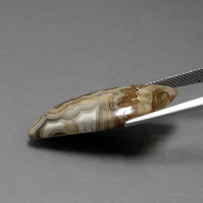 15.18캐럿 천연 다색 벽옥, 멋진 모양, 불투명체