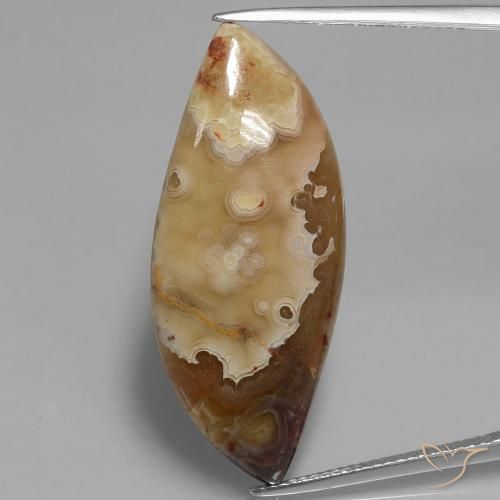 17.69ct 자연스러운 다색 벽옥, 팬시한, 불투명체