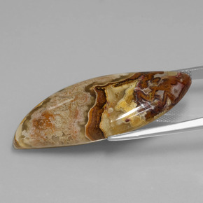 24.71캐럿 천연 다색 벽옥, 멋진 모양, 불투명체