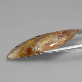 20.81캐럿 천연 멀티컬러 재스퍼, 멋진 모양, 42.2×15 mm, 불투명체