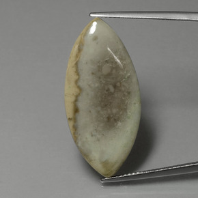 15.89캐럿 천연 다색 벽옥, 보석, 불투명체