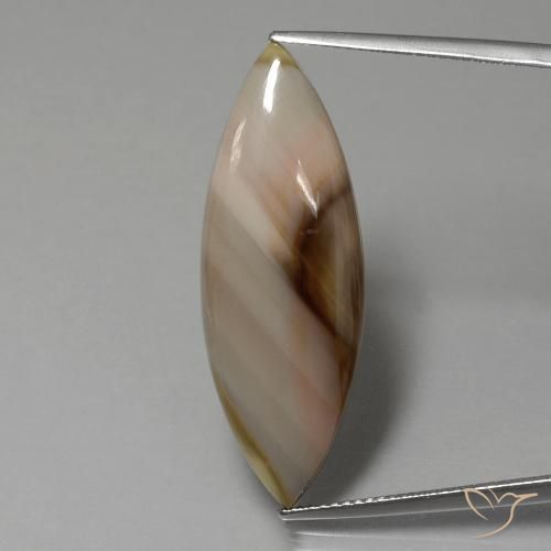 13.74ct 자연스러운 다색 벽옥, 보석, 불투명체