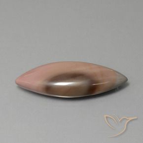 13.77캐럿 천연 다색 벽옥, 보석, 불투명체