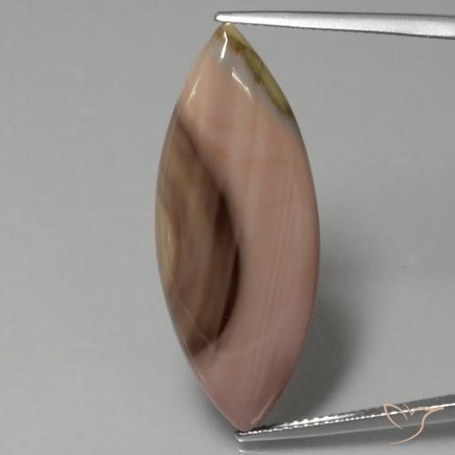 16.57ct 자연스러운 다색 벽옥, 보석, 불투명체
