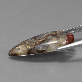8.46캐럿 천연 멀티컬러 재스퍼, 배 모양, 25.3×11.3 mm, 불투명체
