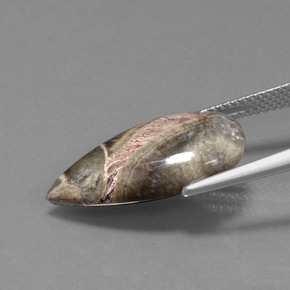 7.34캐럿 천연 멀티컬러 재스퍼, 배 모양, 21.5×11.3 mm, 불투명체