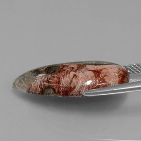 9.34캐럿 천연 멀티컬러 재스퍼, 멋진 모양, 23.4×11.6 mm, 불투명체