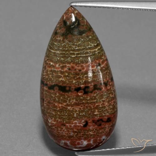 11.78ct 자연스러운 다색 벽옥, 배 모양, 불투명체