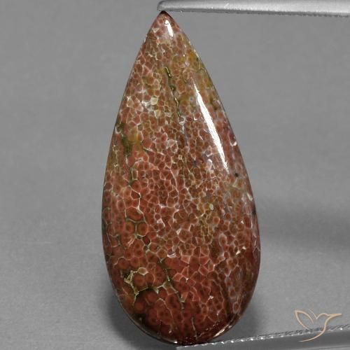 9.57ct 자연스러운 다색 벽옥, 배 모양, 불투명체