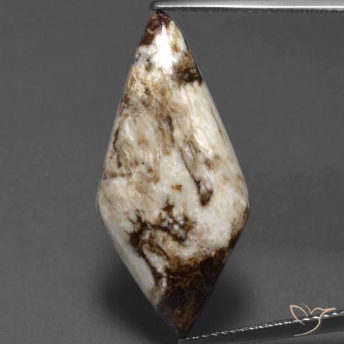 11.75ct 자연스러운 다색 벽옥, 팬시한, 불투명체