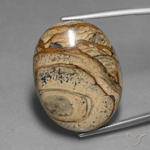 48.37ct 자연스러운 다색 벽옥, 타원형, 불투명체