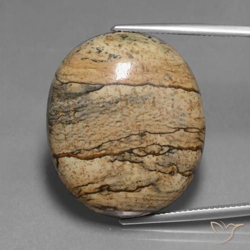 46.30ct 자연스러운 다색 벽옥, 타원형, 불투명체