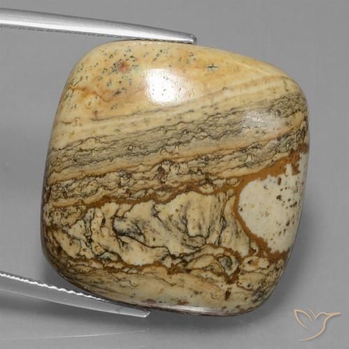 38.72ct 자연스러운 다색 벽옥, 방석, 불투명체