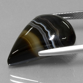 15.25캐럿 천연 멀티컬러 재스퍼, 멋진 모양, 22×15.5 mm, 투명한
