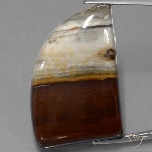 40.76ct 자연스러운 다색 벽옥, 팬시한, 불투명체