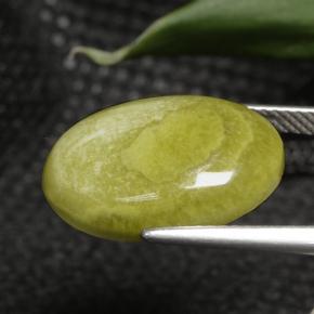 7.63캐럿 천연 다색 벽옥, 타원형 컷, 불투명체