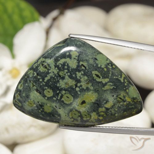 44.66ct 자연스러운 다색 벽옥, 일조, 불투명체
