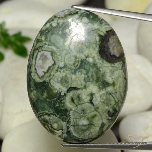 24.95ct 자연스러운 다색 벽옥, 타원형, 불투명체