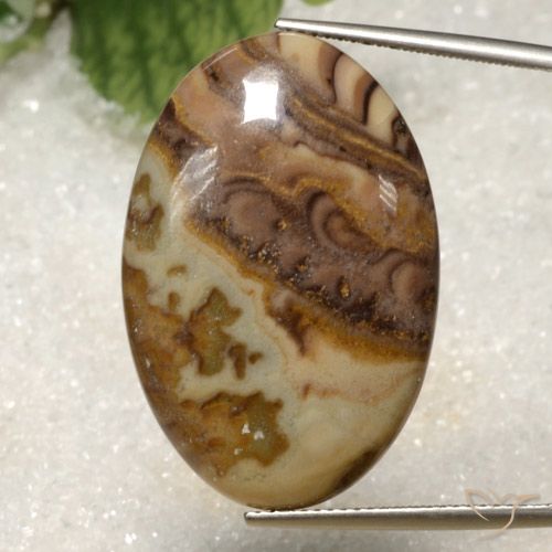 28.34ct 자연스러운 다색 벽옥, 타원형, 불투명체