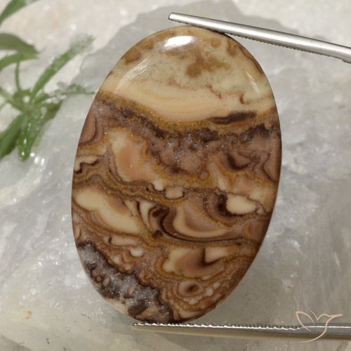 23.33ct 자연스러운 다색 벽옥, 타원형, 불투명체