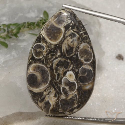 35.12ct 자연스러운 다색 벽옥, 배 모양, 불투명체