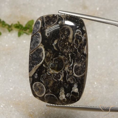 33.92ct 자연스러운 다색 벽옥, 방석, 불투명체