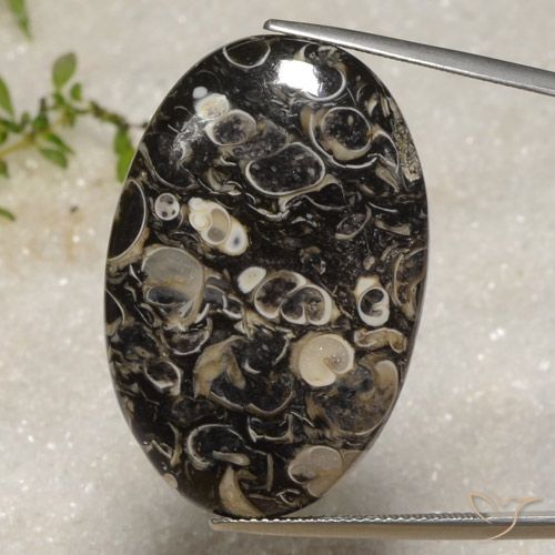 40.51ct 자연스러운 다색 벽옥, 타원형, 불투명체