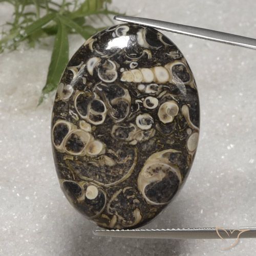 36.40ct 자연스러운 다색 벽옥, 타원형, 불투명체