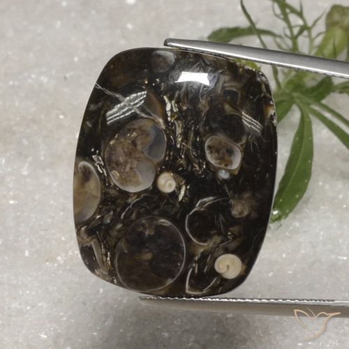23.10ct 자연스러운 다색 벽옥, 방석, 불투명체