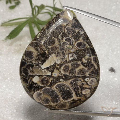62.18ct 자연스러운 다색 벽옥, 배 모양, 불투명체