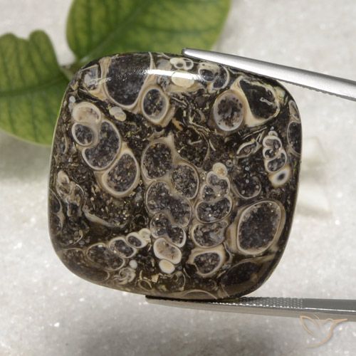 55.16ct 자연스러운 다색 벽옥, 방석, 불투명체