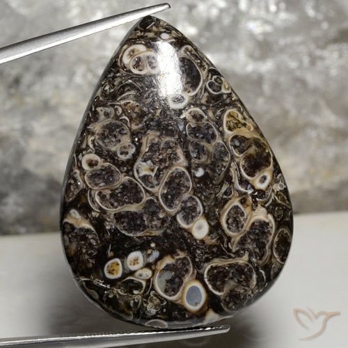 50.43ct 자연스러운 다색 벽옥, 배 모양, 불투명체