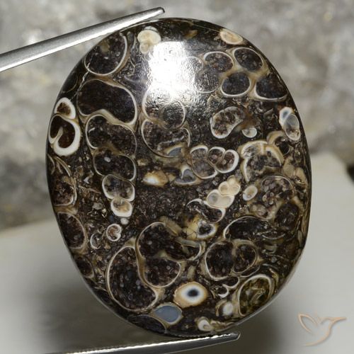 44.14ct 자연스러운 다색 벽옥, 타원형, 불투명체