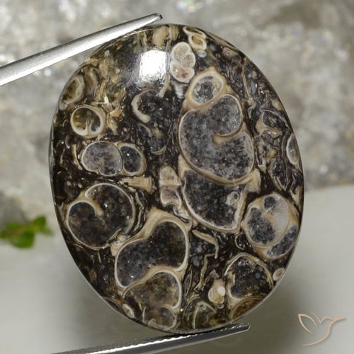 37.90ct 자연스러운 다색 벽옥, 타원형, 불투명체