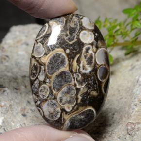 48.18캐럿 천연 멀티컬러 재스퍼, 타원형 컷, 32.9×22.7 mm, 불투명체